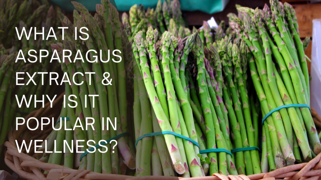 Ingredient Spotlight: What Is Asparagus Extract & Why Is It Popular in Wellness?